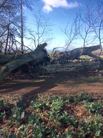 DORIS VISITS OVERBURY
