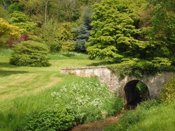 Blogs from Overbury -