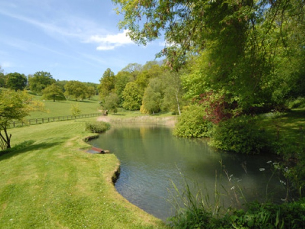 Blogs from Overbury -