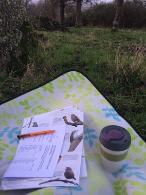 BIG FARMLAND BIRD COUNT... THE RESULTS ARE IN!