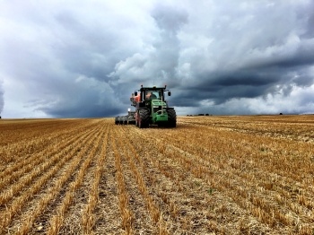 WINTER BARLEY