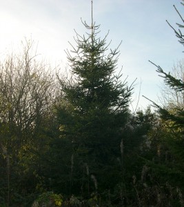 DSCN1738