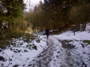Copy of IMG-20130331-00155