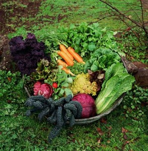 veg