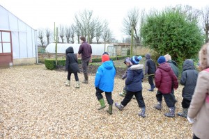 wychall 12