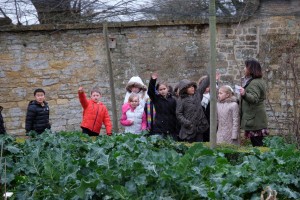 wychall 9