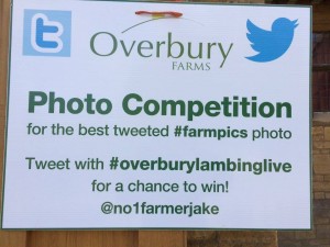 Twitter Comp