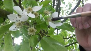 May blog