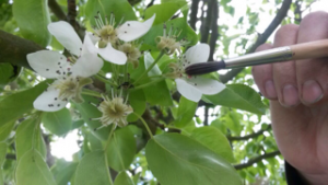 image3 (2)