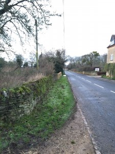 After Ivy photo