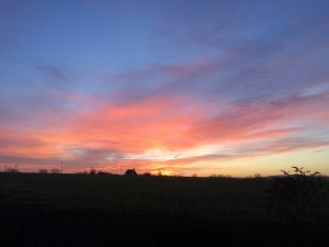 Sunset