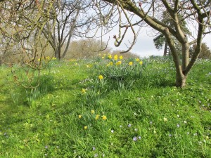Bulb bank