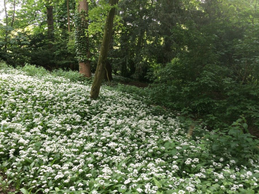 Outdoors at Overbury in the Cotswolds