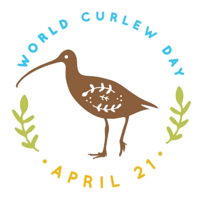 WCD2020